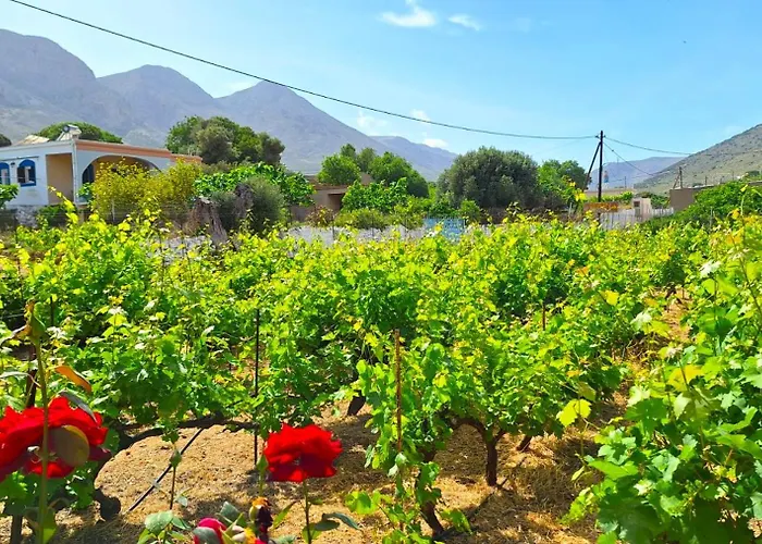 Gaia Estate بيت للعطل Kálymnos