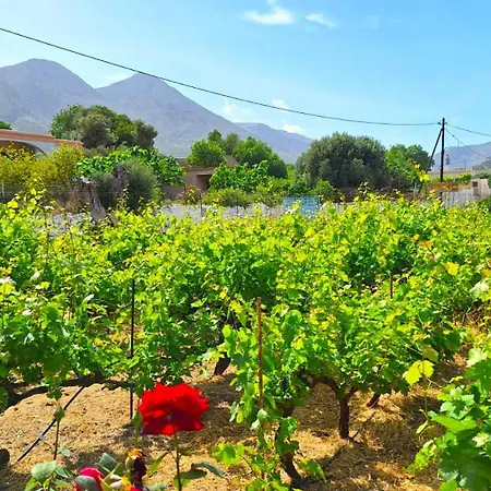 Gaia Estate בית נופש Kálymnos