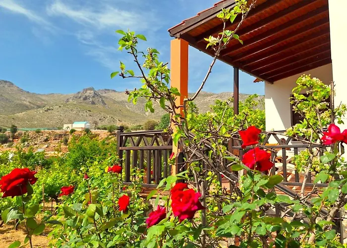 Gaia Estate Kálymnos