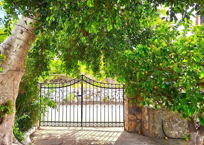 Gaia Estate * Kálymnos